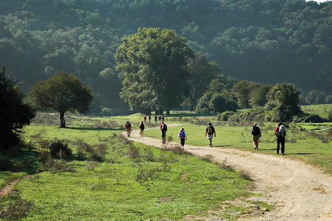 Immagine Toscana a passo lento: quasi 2000 km da percorrere alla scoperta di paesaggi e cultura